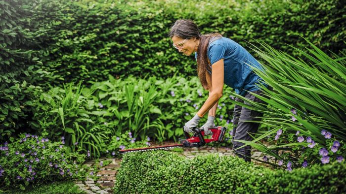 Кущоріз акумуляторний X-Change (без акум.), 18В, лезо 550 мм, довжина різу 500 мм, між ножами 17 мм, поворотна ручка