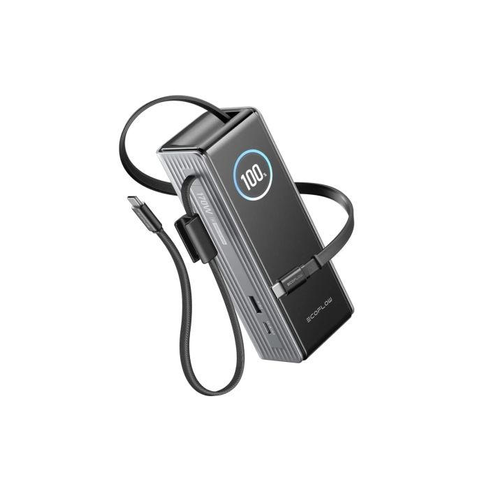 Павербанк EcoFlow RAPID Power Bank з кабелями 25000mAh сріблястий