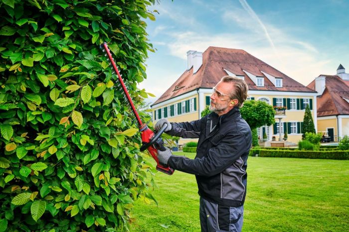 Кусторез аккумуляторный Einhell Professional GP-CH 18/50 Li BL - Solo (3410950)