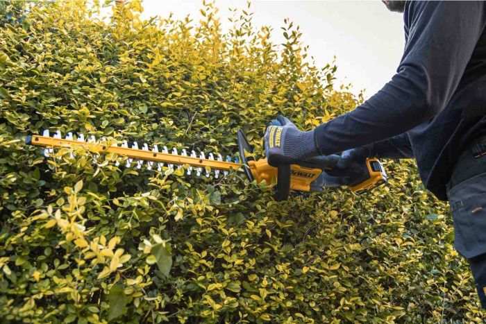 Кущоріз акумуляторний DeWALT DCMHT562P1