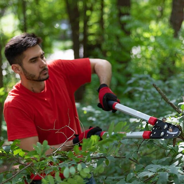 Сучкорез садовый для обрезки веток, 730 мм INTERTOOL FT-1112