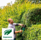 Кущоріз Bosch Advanced Hedge Cut 70
