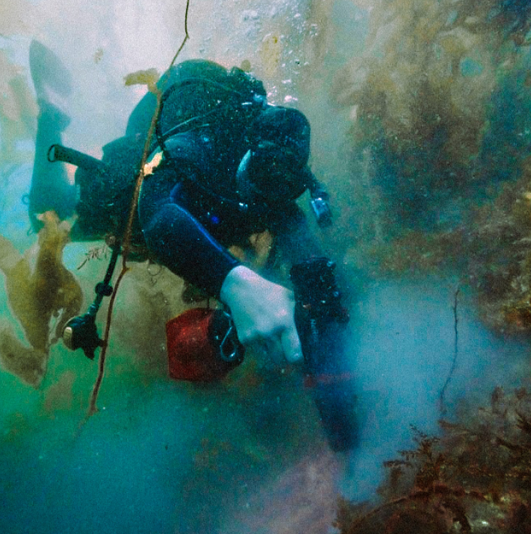 Підводний акумуляторний дриль-шуруповерт Nemo Hammer Drill - 50M