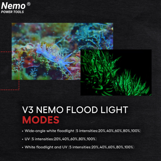 Акумуляторний підводний ліхтар для дайвінгу Nemo Flood Light V3 — 15000 Lumens